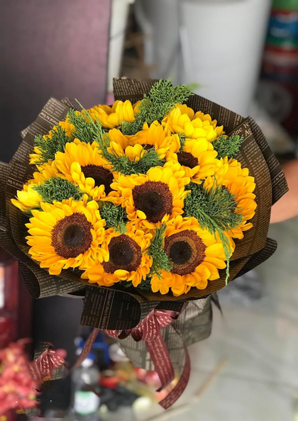 Hoa hướng dương